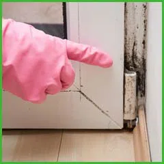 Fort Lauderdale Water & Mold Damage Fort Lauderdale, FL 954-374-6206 Fort Lauderdale Water & Mold Damage Fort Lauderdale, FL 954-374-6206